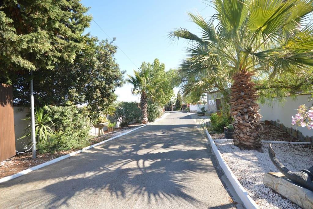 科尼尔-德拉弗龙特拉Casas Paqui Y Pablo Con Piscina Compartida En Conil别墅 外观 照片